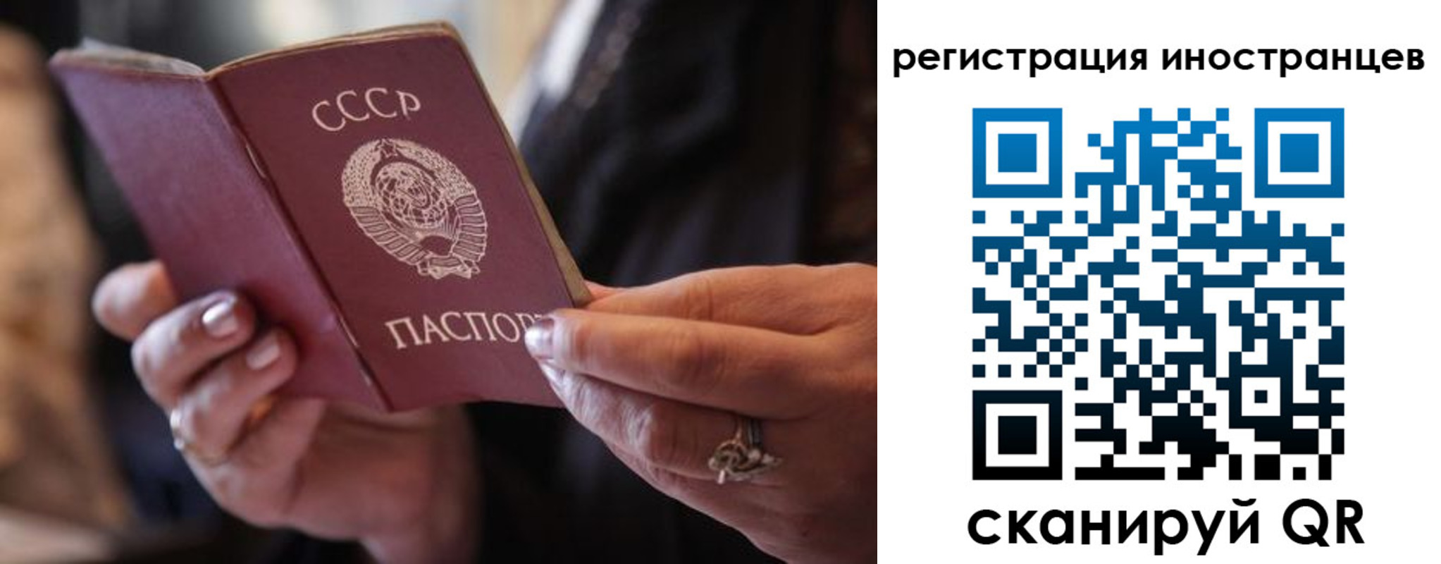 где прописаться в Жукове